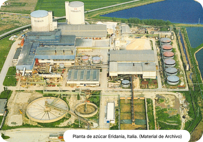 holding Fersam group